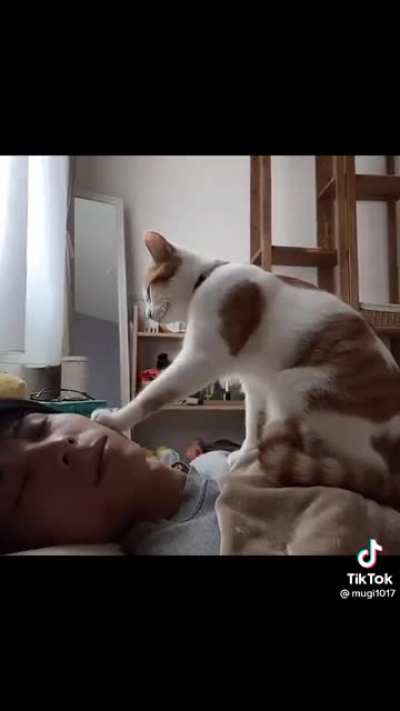 FEED ME!
