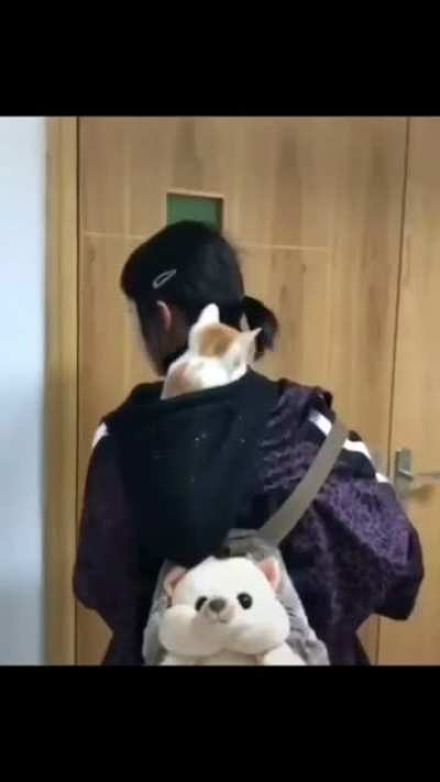 Cat friendly hairdo