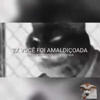 Já era pra tu kkkkkk