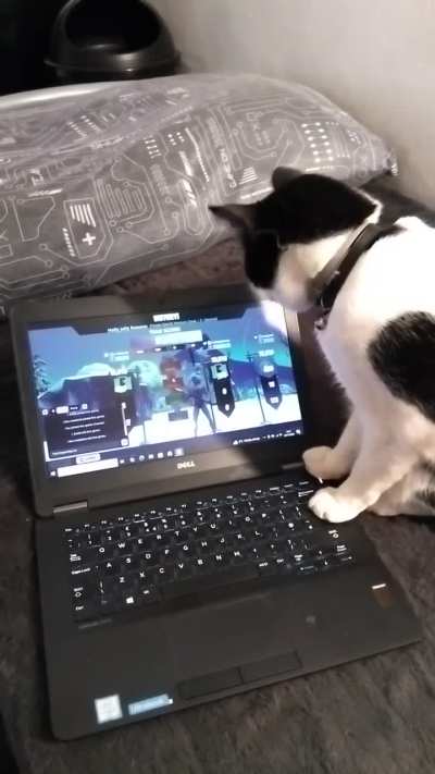 Woody wants to play on Fortnite.