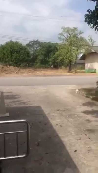 🔥 A jumping snake