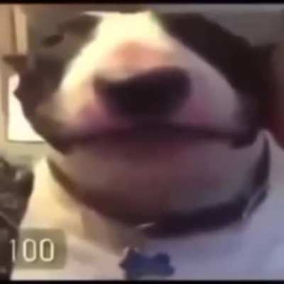 You Gonna up vote, right now