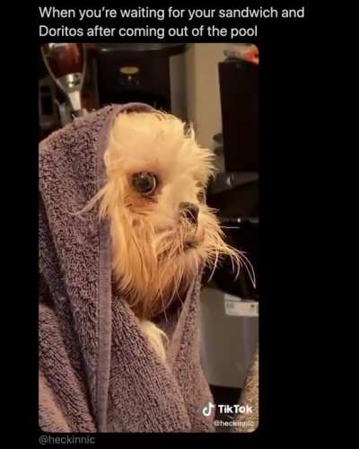Towel creature