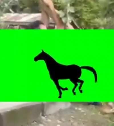 It do be like this sometimes.