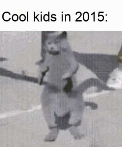 Girls: OMG ! he is so cool.