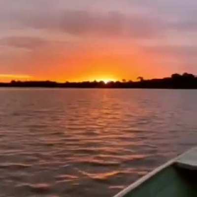 Sunrise and listening to the sounds of nature in the Amazon rainforest