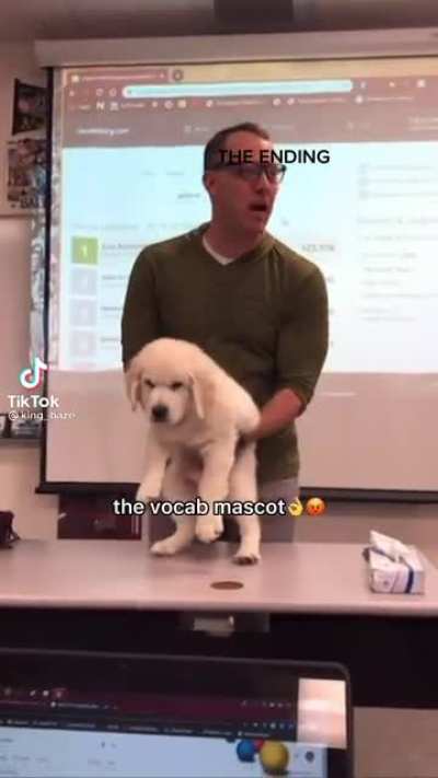 Don’t lose the vocab bowl