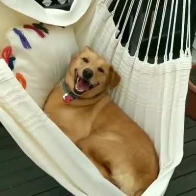 Don't Mind Me Just Swinging In My Hammock