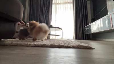 Play time ❤️