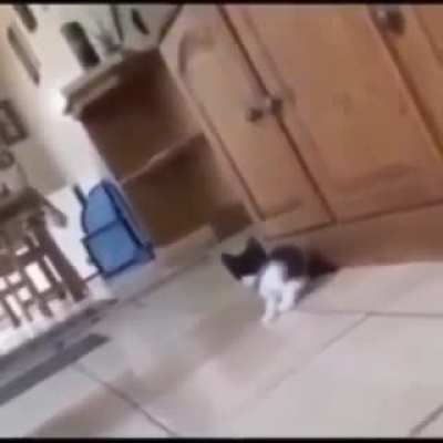 Susto da massa(errape)