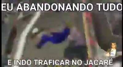 jacare.