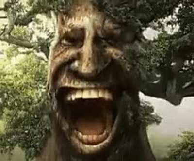 49653