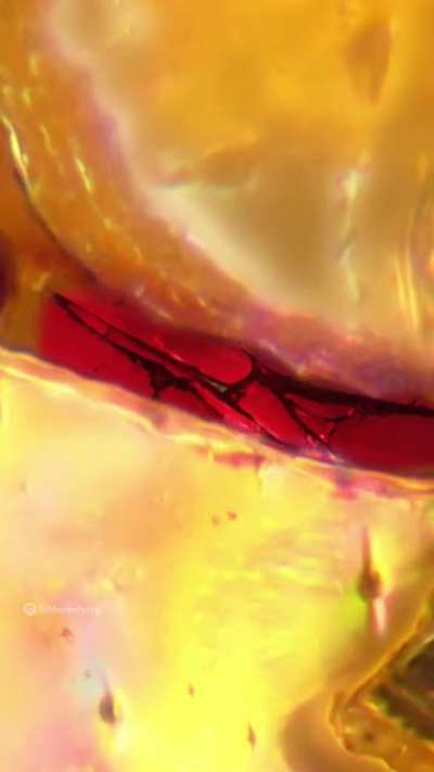 Super macro zoom