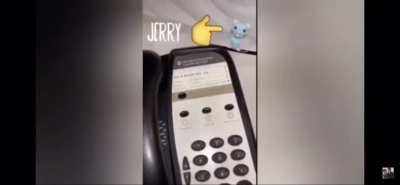 Try not to laugh!