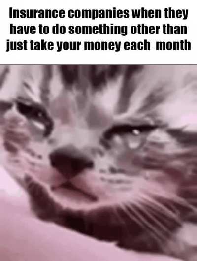roomba > insurance companies