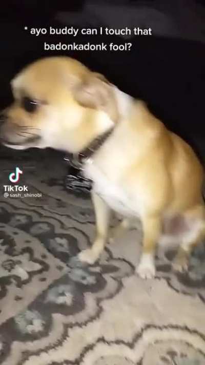 Badonkadonk