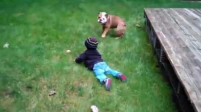 From the Top Rope!