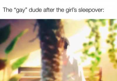 How to break into the girl’s sleepover 101