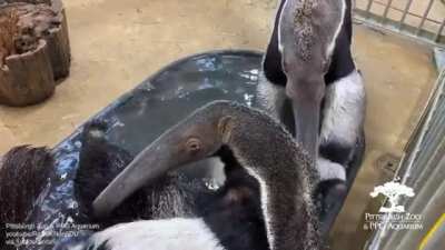 Sharing a bath is never as romantic as it looks in the movies