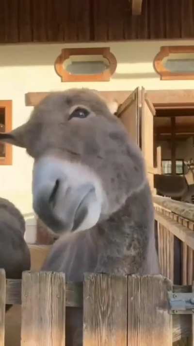Having a really good scratch
