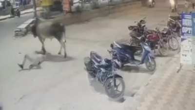 Watch your back !!!