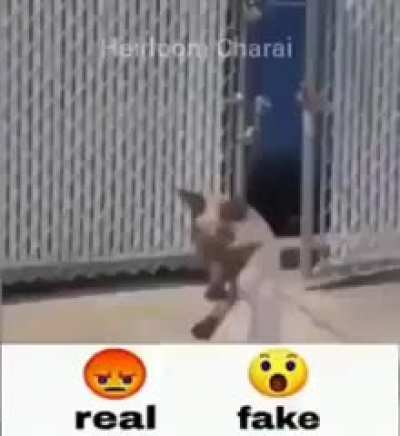 🤬