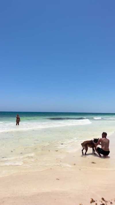 Tulum beach today 🤩