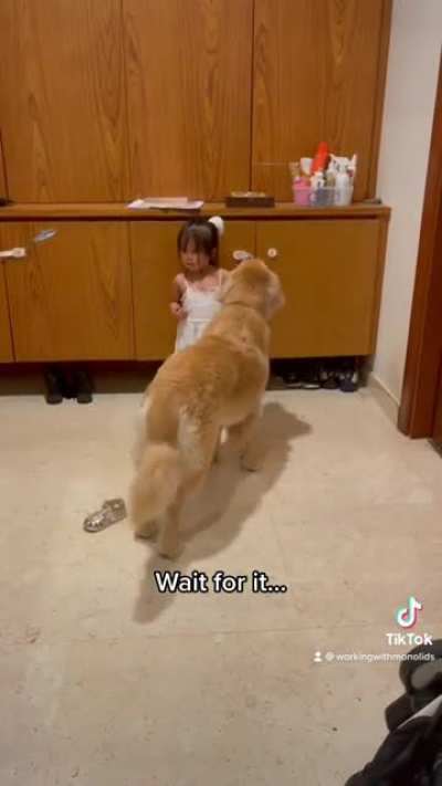 Doggy, no!