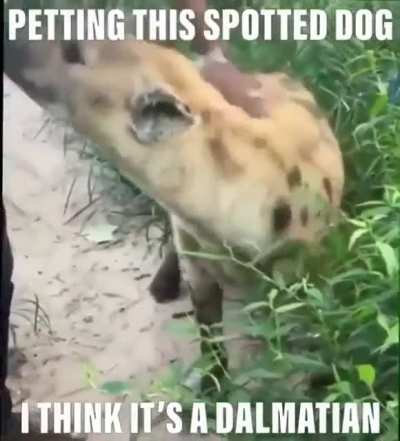 Rule