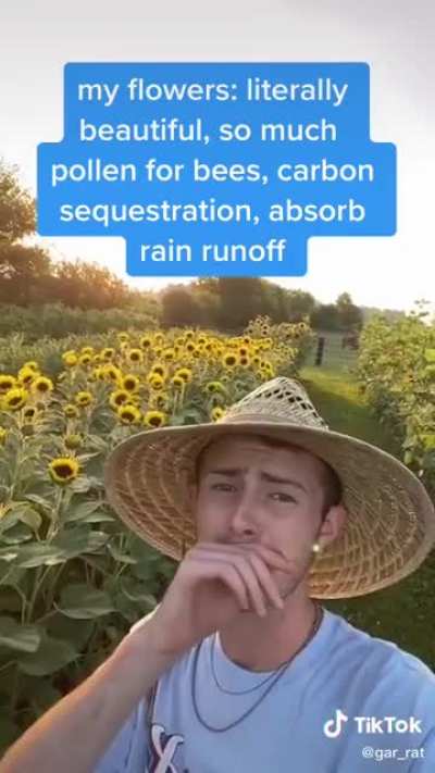 PSA: plant native flowers for the bees