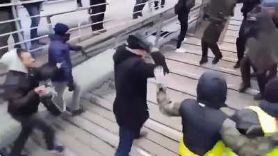 Professional protester
