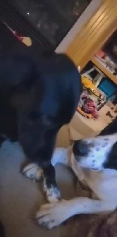 An intense argument