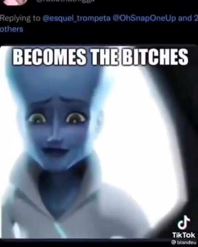 No bitches
