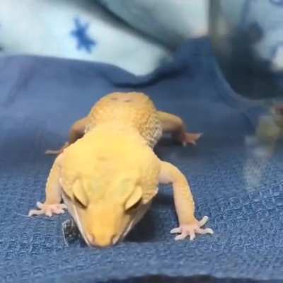 Trying to eat