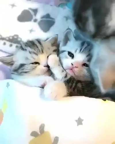 How nice!