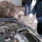 HEY.. LET ME HELP YOU, I KNOW HOW TO FIX IT!