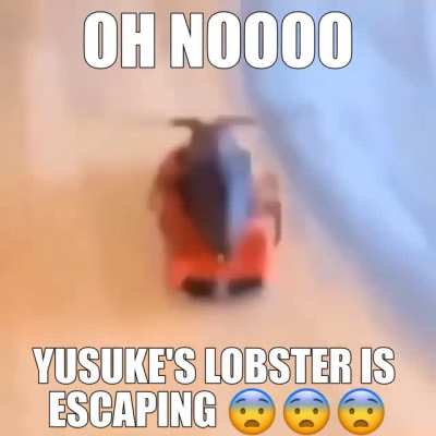 🦞🦞🦞