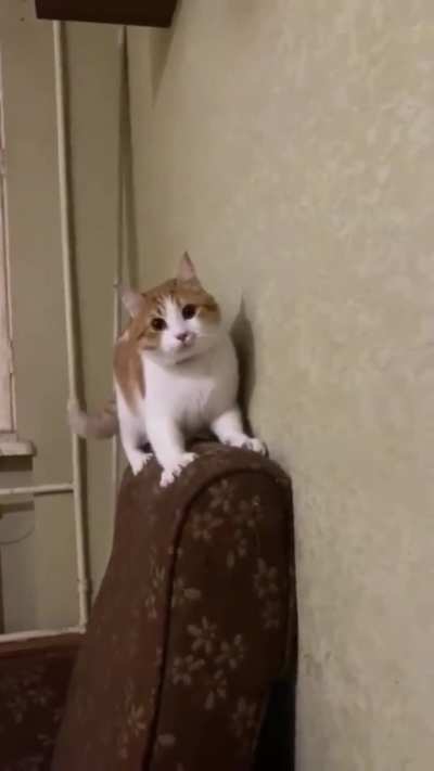 Wunk scare 3