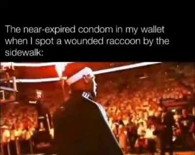 rule