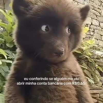Minha conta bancária