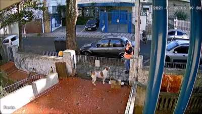 Gente, em Sorocaba(SP), assaltaram uma cachorrinha! Isso mesmo, roubaram a roupinha do pobre animal. Daí a história viralizou e alguém decidiu presentear a cadelinha Nina com um novo agasalho.