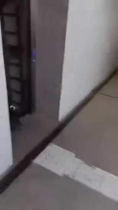 Where did he go?