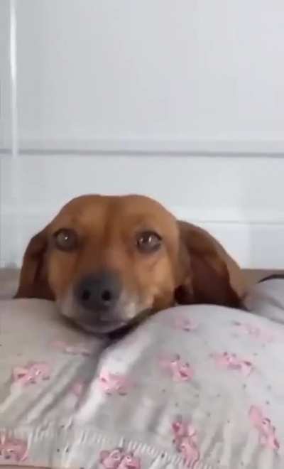 Getting comfy