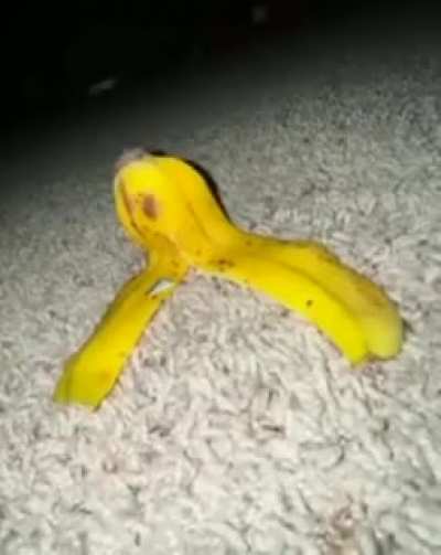 Episode 4 The Banana