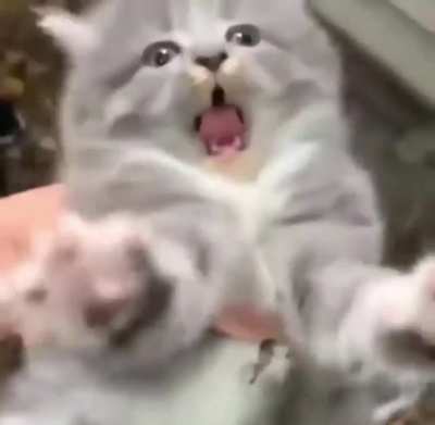 I guess he is not happy