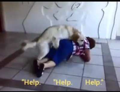 Doggo loves granny