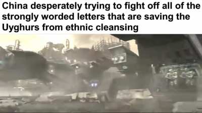 Solidarity