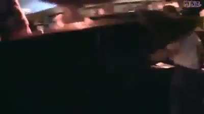 O gato é brabo