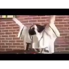 haram cat listen DJ music تحميل لا فيروس مجانا 2020 😤😤😳😱😨🙀😻😼punjabi