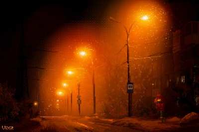 Winter night